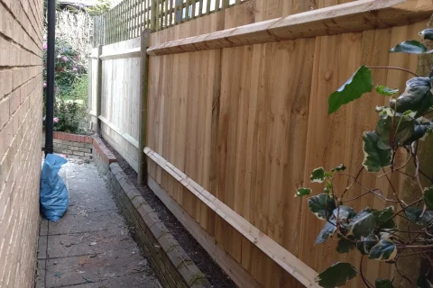 Carpentry 1